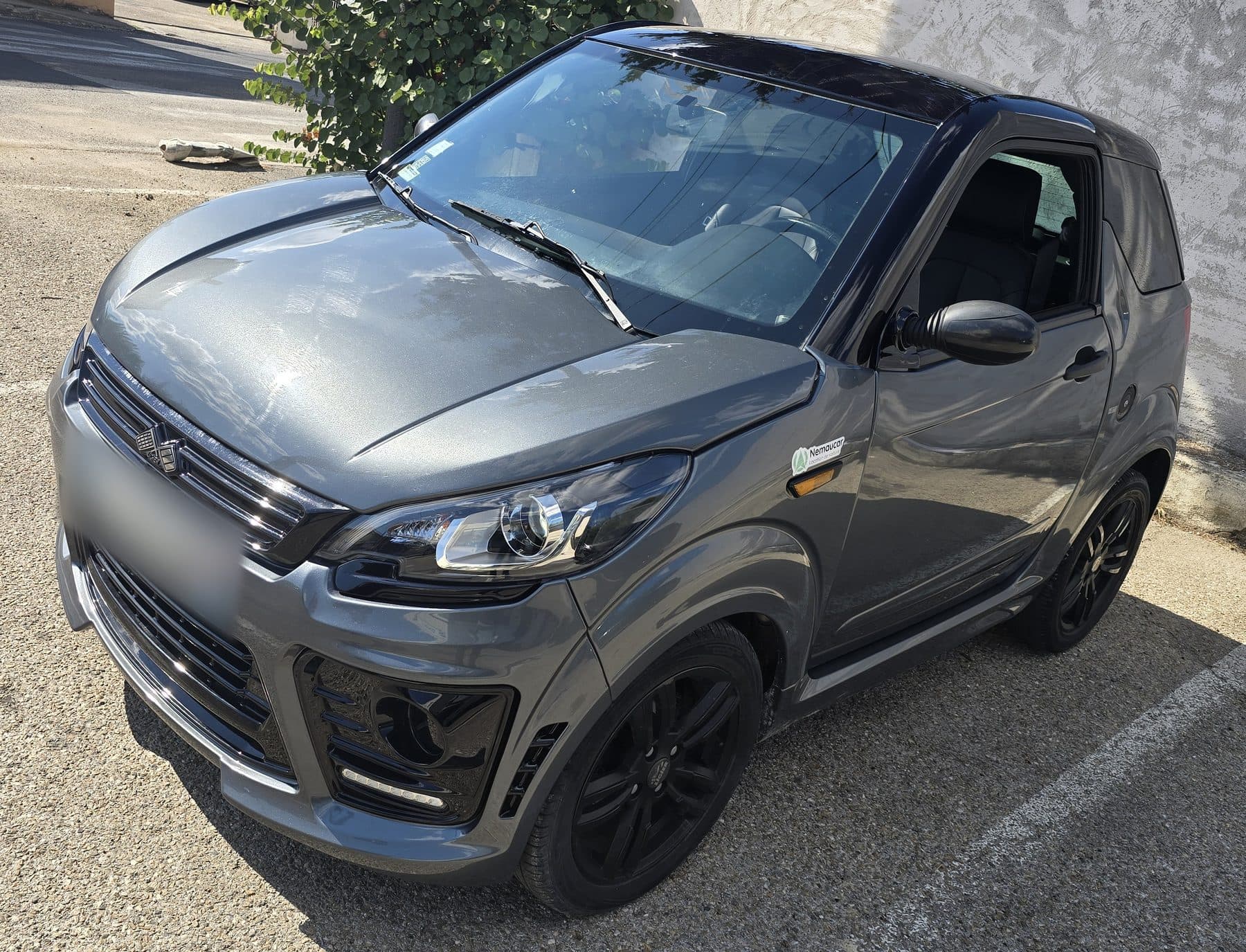 Voiture sans permis Ligier JS50 pour un usage professionnel